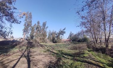 Terreno Construccion  en Venta en Gultro, Olivar