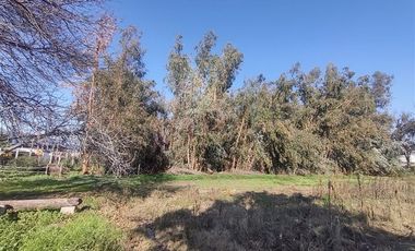 Terreno Construccion  en Venta en Gultro, Olivar