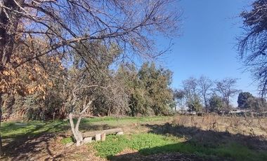 Terreno Construccion  en Venta en Gultro, Olivar