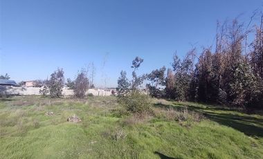 Terreno Construccion  en Venta en Gultro, Olivar