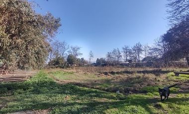 Terreno Construccion  en Venta en Gultro, Olivar