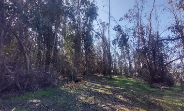 Terreno Construccion  en Venta en Gultro, Olivar