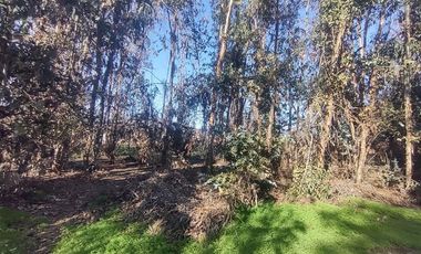 Terreno Construccion  en Venta en Gultro, Olivar