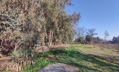 Terreno Construccion  en Venta en Gultro, Olivar