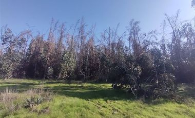 Terreno Construccion  en Venta en Gultro, Olivar