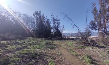 Terreno Construccion  en Venta en Gultro, Olivar