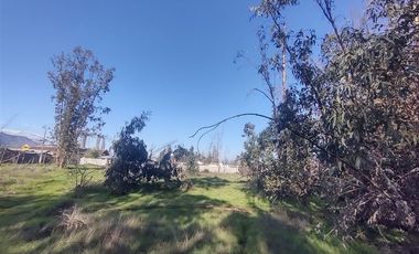 Terreno Construccion  en Venta en Gultro, Olivar