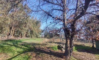 Terreno Construccion  en Venta en Gultro, Olivar