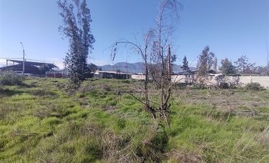 Terreno Construccion  en Venta en Gultro, Olivar