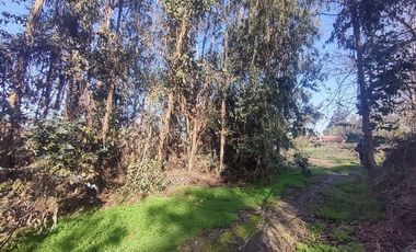 Terreno Construccion  en Venta en Gultro, Olivar