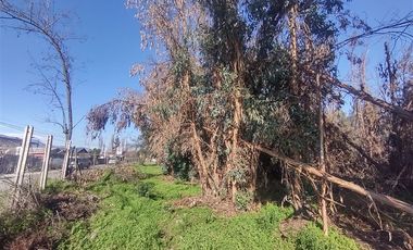 Terreno Construccion  en Venta en Gultro, Olivar