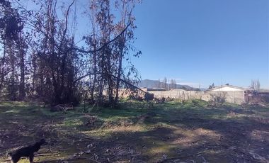 Terreno Construccion  en Venta en Gultro, Olivar