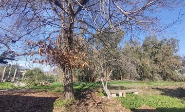 Terreno Construccion  en Venta en Gultro, Olivar