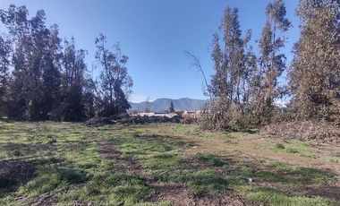 Terreno Construccion  en Venta en Gultro, Olivar