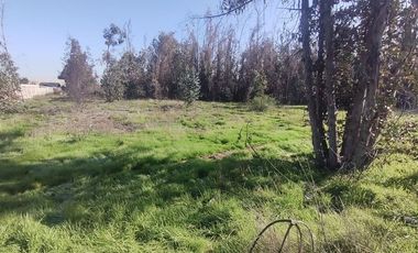 Terreno Construccion  en Venta en Gultro, Olivar