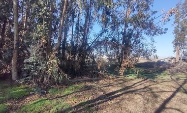 Terreno Construccion  en Venta en Gultro, Olivar