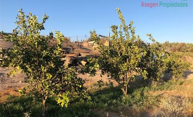 Parcela en Venta en Parcela en venta y arriendo en Hacienda San Fco. Piedra Colgada