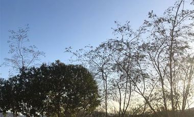 Parcela en Venta en Parcela en venta y arriendo en Hacienda San Fco. Piedra Colgada