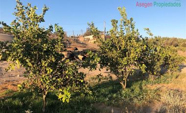 Parcela en Venta en Parcela en venta y arriendo en Hacienda San Fco. Piedra Colgada