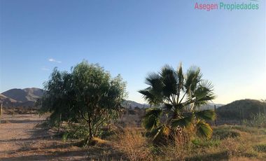 Parcela en Venta en Parcela en venta y arriendo en Hacienda San Fco. Piedra Colgada