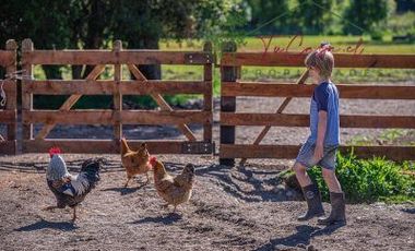 Parcela en Venta en Hacienda Aguas de Maullín - Los Muermos - Puerto Montt