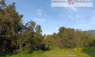 Casa en Venta en Parcela con casa en Valle Alegre