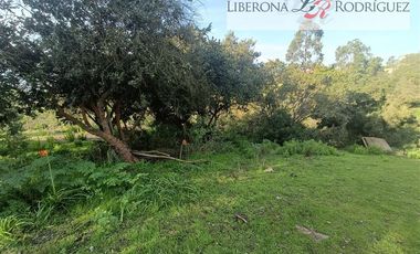 Casa en Venta en Parcela con casa en Valle Alegre