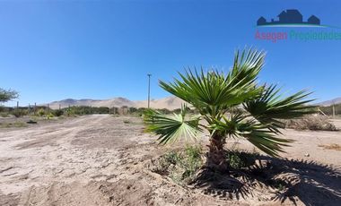 Parcela en Venta en Parcela en venta en Valle Fértil