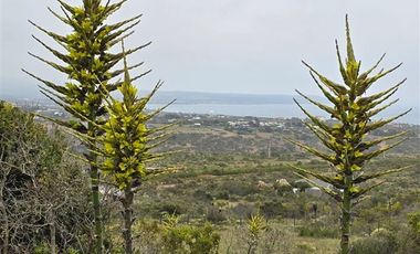 Casa en Venta en Condominio Rocas del Mar. Los Molles
