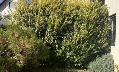 Casa en Venta en Volcan Tronador con Volcán Lascar