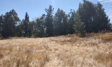 Parcela en Venta en Cerca de cancha de Lo Patricio