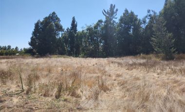 Parcela en Venta en Cerca de cancha de Lo Patricio