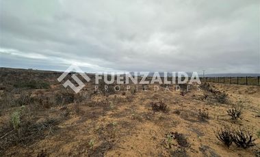 Sitio en Venta en Morrillos norte