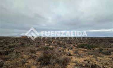 Sitio en Venta en Morrillos norte