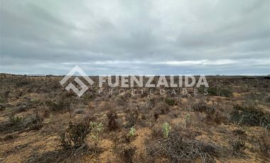 Sitio en Venta en Morrillos norte