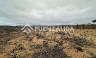 Sitio en Venta en Morrillos norte