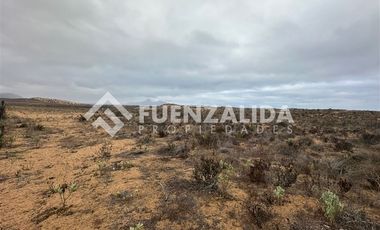 Sitio en Venta en Morrillos norte