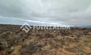 Sitio en Venta en Morrillos norte
