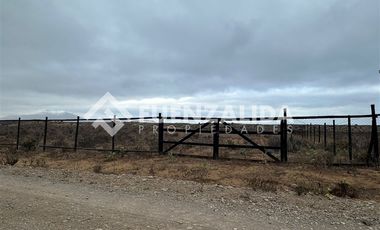 Sitio en Venta en Morrillos norte