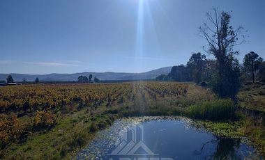 Agrícola en Venta en Sector Las Paredes