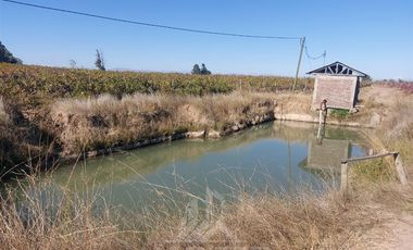 Agrícola en Venta en Sector Las Paredes