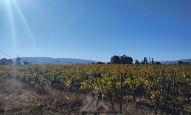 Agrícola en Venta en Sector Las Paredes