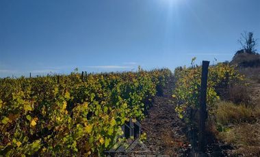 Agrícola en Venta en Sector Las Paredes