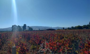 Agrícola en Venta en Sector Las Paredes