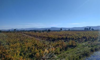 Agrícola en Venta en Sector Las Paredes