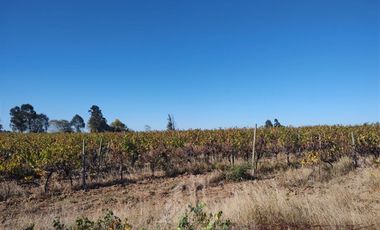 Agrícola en Venta en Sector Las Paredes