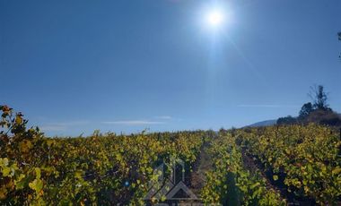 Agrícola en Venta en Sector Las Paredes