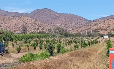 Agrícola en Venta en Sector Challaco