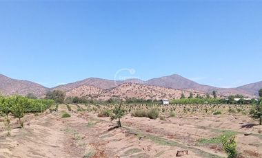 Agrícola en Venta en Sector Challaco