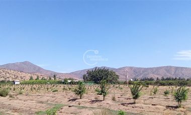 Agrícola en Venta en Sector Challaco